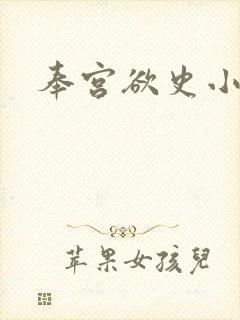 奉宫欲史小说封面
