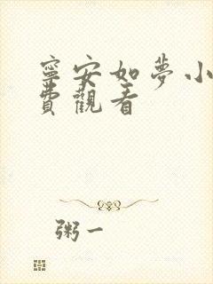 宁安如梦小说免费观看封面