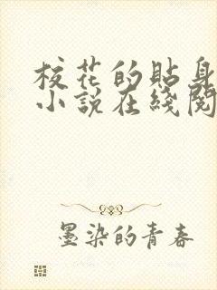 校花的贴身高手小说在线阅读免费封面