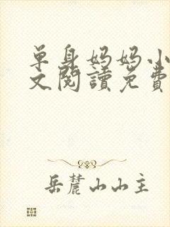单身妈妈小说全文阅读免费无弹窗封面