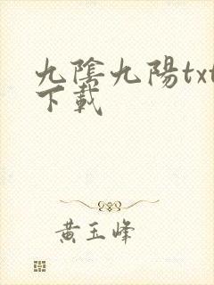 九阴九阳txt下载封面