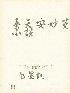 秦天安妙菱修仙小说封面