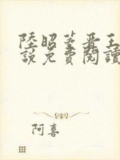 陆昭菱晋王的小说免费阅读封面