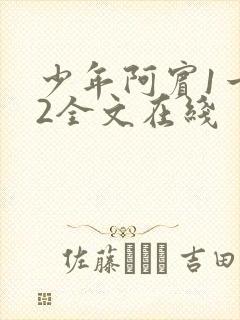 少年阿宾1一72全文在线