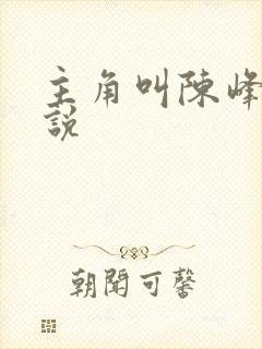 主角叫陈峰的小说封面