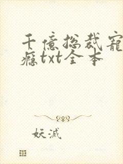 千亿总裁宠妻上瘾txt全本