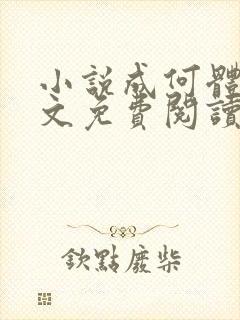 小说成何体统全文免费阅读