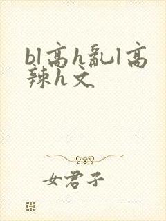 bl高h乱l高辣h文
