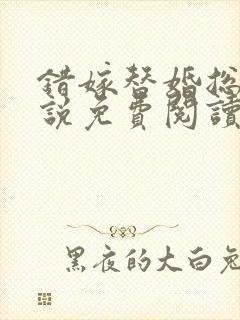 错嫁替婚总裁小说免费阅读全文