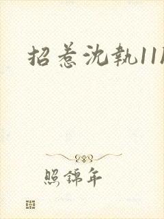 招惹沈执11h封面