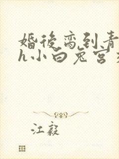 婚后脔到青梅哭h小白兔宫交h封面