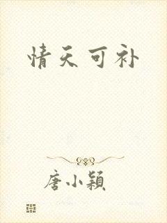 情天可补