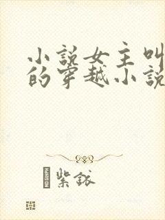 小说女主叫陆宁的穿越小说