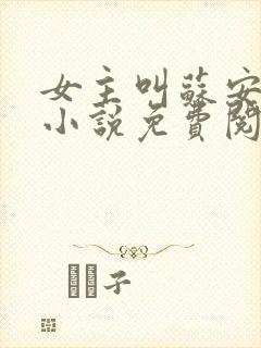女主叫苏安然的小说免费阅读
