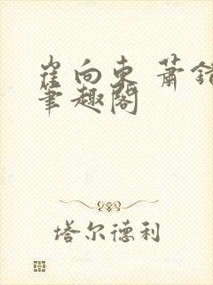 崔向东 萧错 笔趣阁