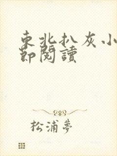 东北扒灰小说分节阅读