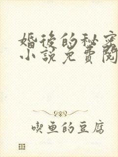 婚后的秘密张妍小说免费阅读全文