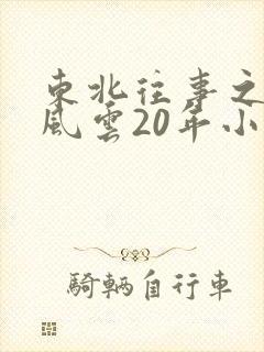东北往事之黑道风云20年小说封面