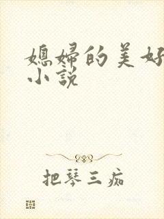 媳妇的美好时代小说