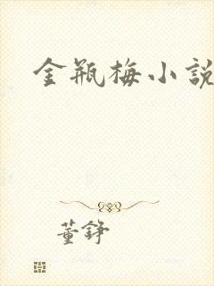 金瓶梅小说