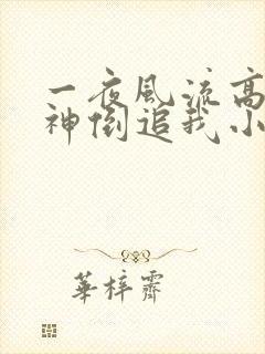 一夜风流高冷女神倒追我小说免费阅读无弹窗