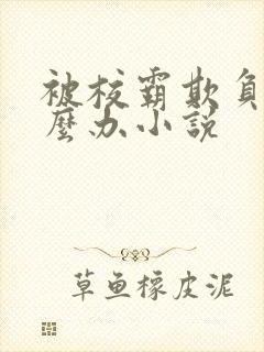 被校霸欺负了怎么办小说