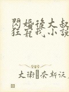 闪婚后大叔每天狂宠我小说封面
