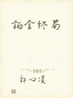铂金终局