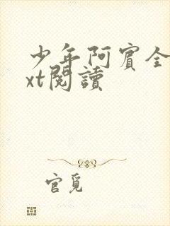 少年阿宾全文txt阅读