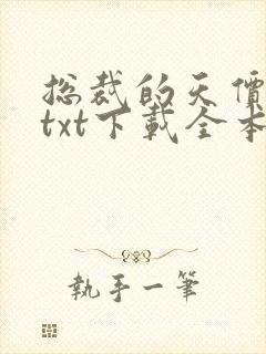 总裁的天价前妻txt下载全本封面