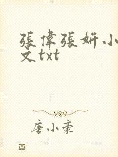 张伟张妍小说全文txt