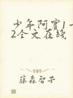 少年阿宾1一72全文在线
