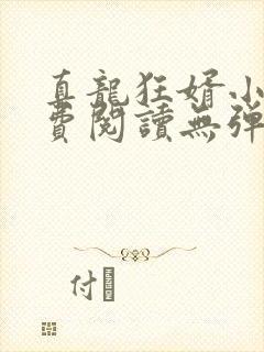 真龙狂婿小说免费阅读无弹窗