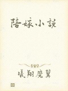 陪嫁小说封面