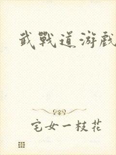 武战道游戏封面