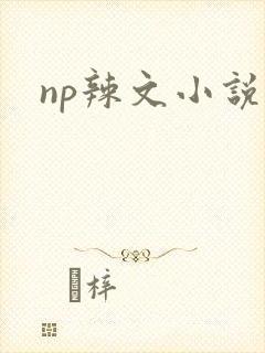 np辣文小说