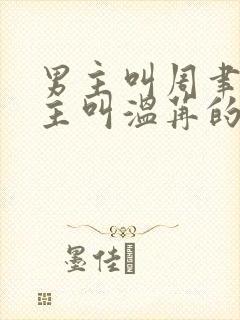 男主叫周聿珩女主叫温苒的小说
