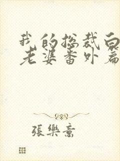 我的总裁白富美老婆番外篇