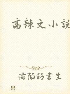 高辣文小说