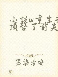 小说w重生后我顶替了前夫白月光,