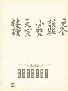 林天小说免费阅读完整版全文封面