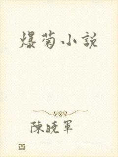 爆菊小说