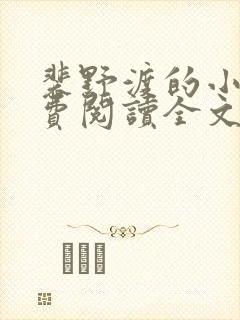 裴野渡的小说免费阅读全文