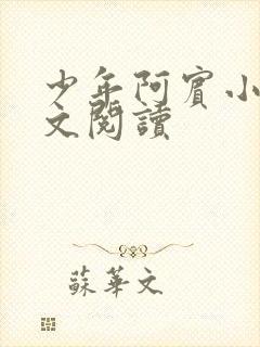 少年阿宾小说全文阅读