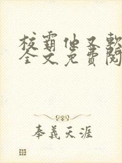 校霸他又软又甜全文免费阅读