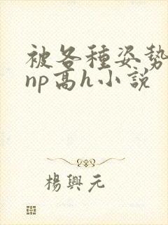 被各种姿势玩弄np高h小说