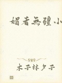 媚者无疆小说