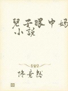 儿子眼中妈妈的 小说
