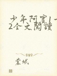 少年阿宾1一72全文阅读