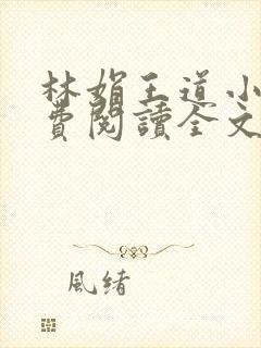 林娟王道小说免费阅读全文